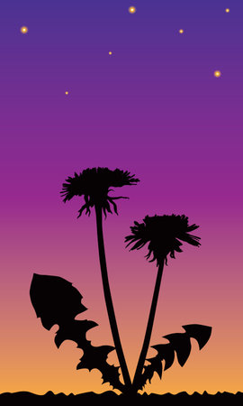 Dandelion at sunriseのイラスト素材