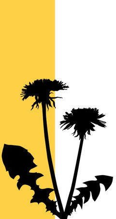 Dandelion silhouette (hand traced from photo)のイラスト素材