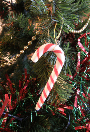 Festive Candy Canes      の写真素材