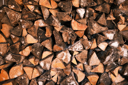 Firewood in the barn, stock for the winter.の写真素材