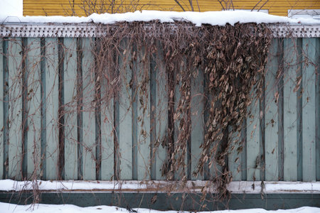 Old wooden fence background texture close upの写真素材