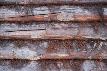 Old wooden wall of logs background textureの写真素材