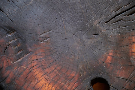 Wooden background from a cut of wood, burnt on fire and soaked in oilの写真素材