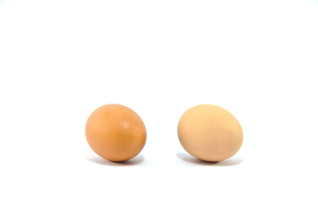 two eggs are isolated on a white background