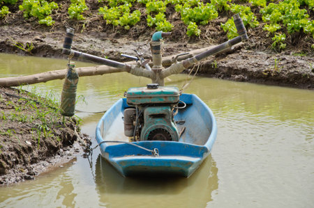 boat used for feeding water to lettuces farm in Thailand.