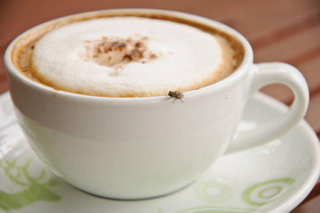 Fly on a coffee cup on wooden background の写真素材