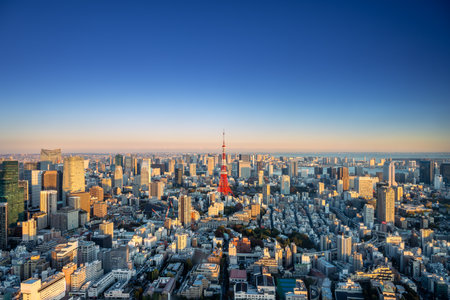 Aerial view of Tokyo skylines with tokyo tower and tokyo city in sunset, Landmark of Japan. Japan will host the Tokyo 2020 summer olympic and Paralympic.のeditorial素材