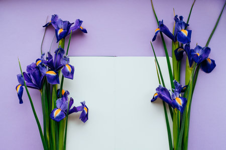 Blank notebook with beautiful iris flowers on the violet background.の写真素材