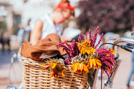 Flowers in a bicycle basketの写真素材