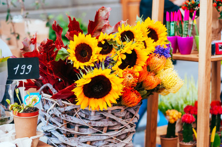 Beautiful sunflower bouquetの写真素材