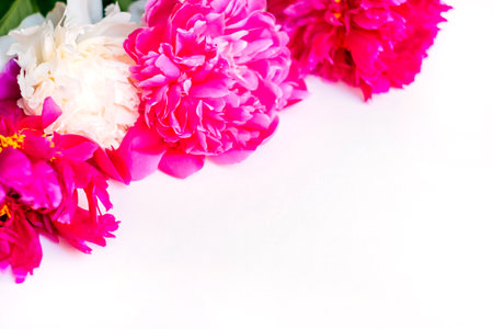 Frame of beautiful fuchsia and white peony flower bouquet on the white background. Closeup, flatlay style.の写真素材