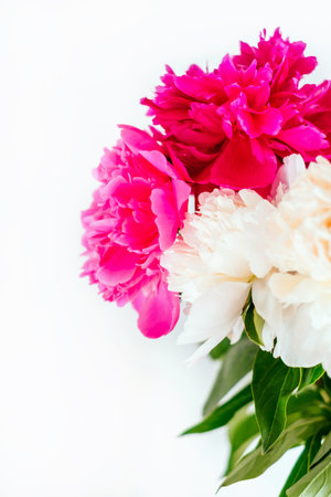 Frame of beautiful fuchsia and white peony flower bouquet on the white background. Closeup, flatlay style.の写真素材