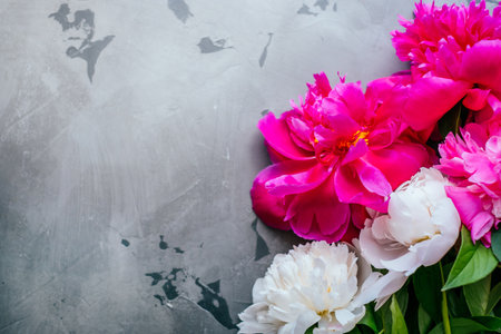 Beautiful fuchsia and white peony flower bouquet on the grey concrete background. Closeup, flatlay style.の写真素材