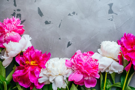 Beautiful fuchsia and white peony flower bouquet on the grey concrete background. Closeup, flatlay style.の写真素材