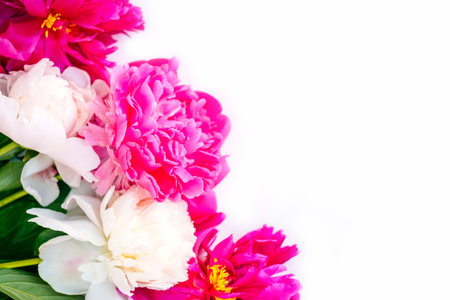 Frame of beautiful fuchsia and white peony flower bouquet on the white background. Closeup, flatlay style.の写真素材