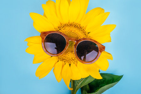 Bright big yellow sunflower on blue background with funny sunglasses. Flatlay style.の写真素材