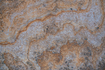 Natural beige stone texture. Textured background of a stone.