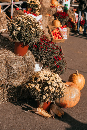 Fall festival decoration with pumpkin, fall flowers and a stack of hay.の写真素材
