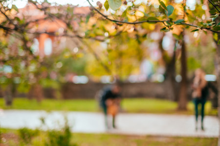 Blurred background with group of trees in the park.の写真素材