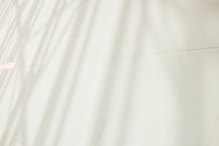 Black and white abstract background of shadows on a concrete floor.の写真素材