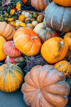 Fall pumpkins bunched together with flowers background.の写真素材