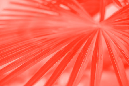 Living coral palm leaves. Pantone color of the year.