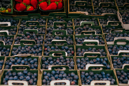 Blueberries sorted in boxes and selling at a farmers market.