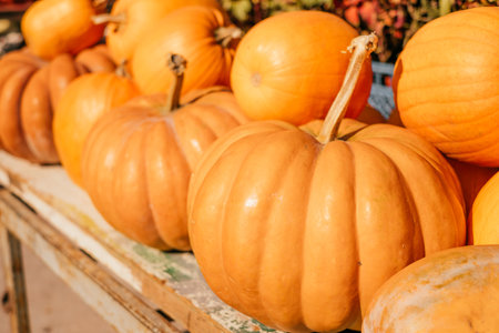 A pile of pumpkins at a fall farmers market.の写真素材