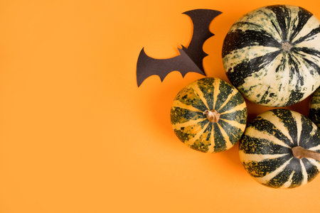 Top view of Halloween pumpkins and paper craft bats on orange background.の写真素材
