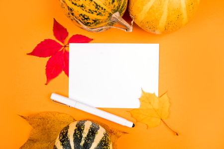 Top view of blank paper and pen with pumpkins and leaves fall decoration on orange background.の写真素材