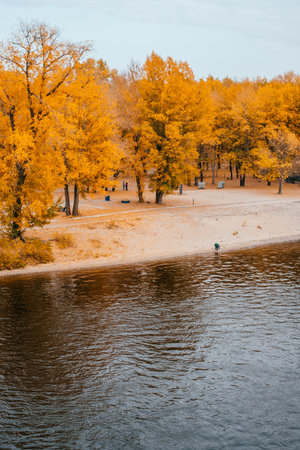 Kyiv, Ukraine - Beautiful river beach in fall with yellow trees and leaves.の写真素材