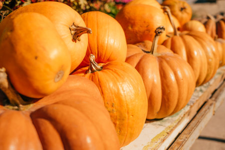 A pile of pumpkins at a fall farmers market.の写真素材
