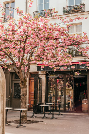 Paris, France - April 6, 2019: Charming traditional french cafe with tables on terrace, landmark in Paris.のeditorial素材