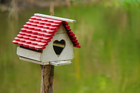 house of birdの写真素材