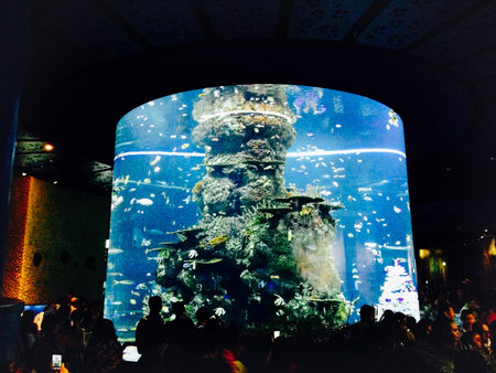 People are watching Aquarium tank.の素材