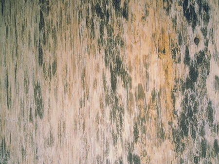 Wooden background texturedの素材