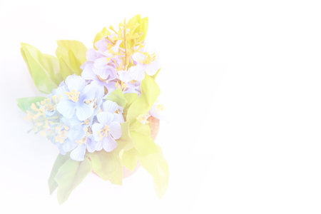 color beautiful bouquet of flower for copy space on white background made with color filterの写真素材
