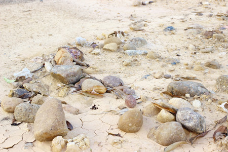 Pebble stones on the groundの写真素材
