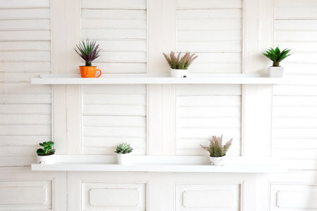 Flowers placed next to a white wall.の写真素材