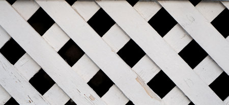 white woodenの写真素材