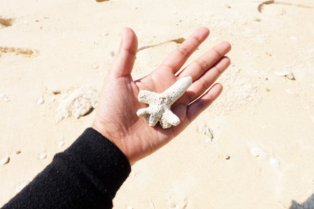 Coral in handの写真素材