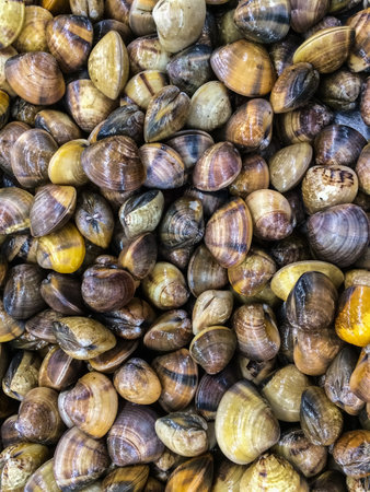 Shellfish in the market for background / Mobile photography