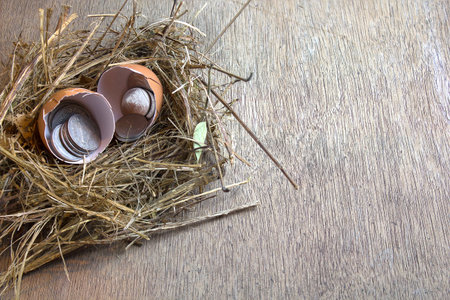 Concept idea / Coin in egg shell on bird's nest on wood backgroundの写真素材