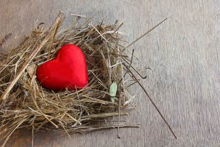 Concept Valentine's Day / Heart in bird's nest on wood backgroundの写真素材