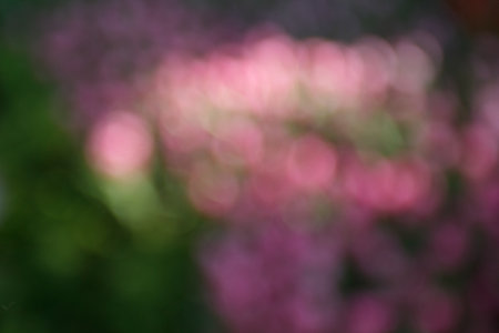 Abstract colorful defocused bokeh. Beautiful blurred bokeh.の写真素材