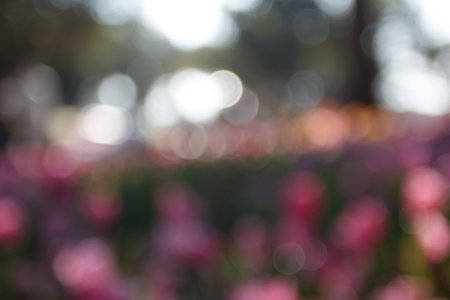 Abstract colorful defocused bokeh. Beautiful blurred bokeh.の写真素材