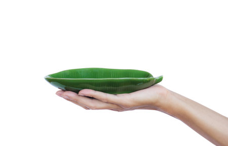 Hand holding green empty plate isolated on white background . Green plate for food, snack or dessert for serving in restaurant.Green plate made of ceramic, glossy for food.の写真素材