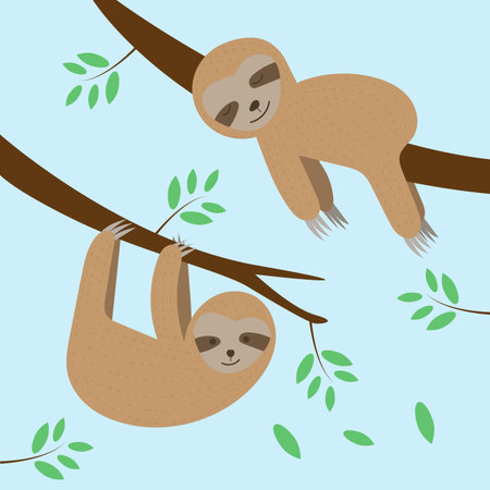 Cute sloths cartoon sleeping and hanging on tree branch background. Vector illustration.のイラスト素材