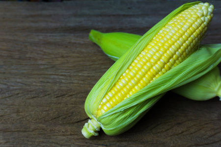 Close up fresh sweet corn cobs with leaves on wood table background.の写真素材