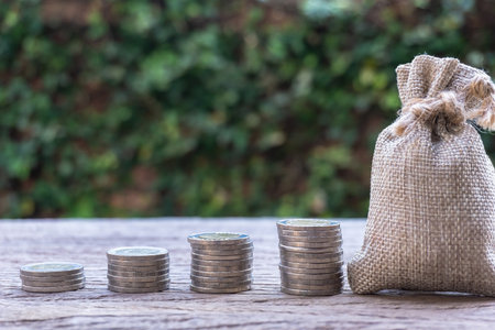 Money savings, investment, making money for future, financial wealth management concept. Stack coins...